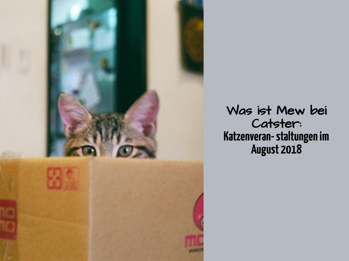 Was ist Mew bei Catster: Katzenveranstaltungen im August 2018