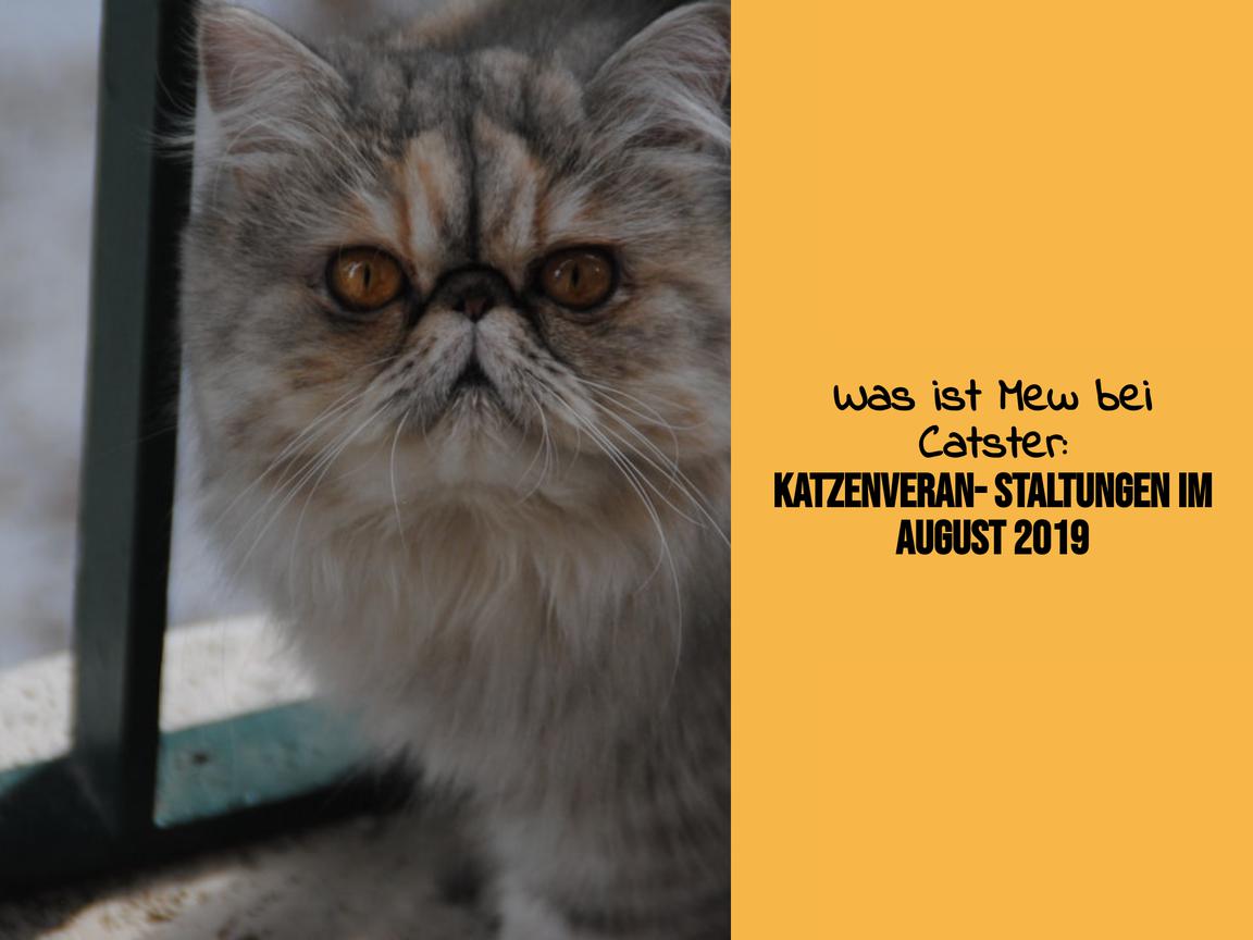 Was ist Mew bei Catster: Katzenveranstaltungen im August 2019