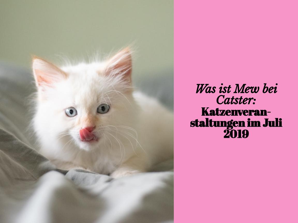 Was ist Mew bei Catster: Katzenveranstaltungen im Juli 2019