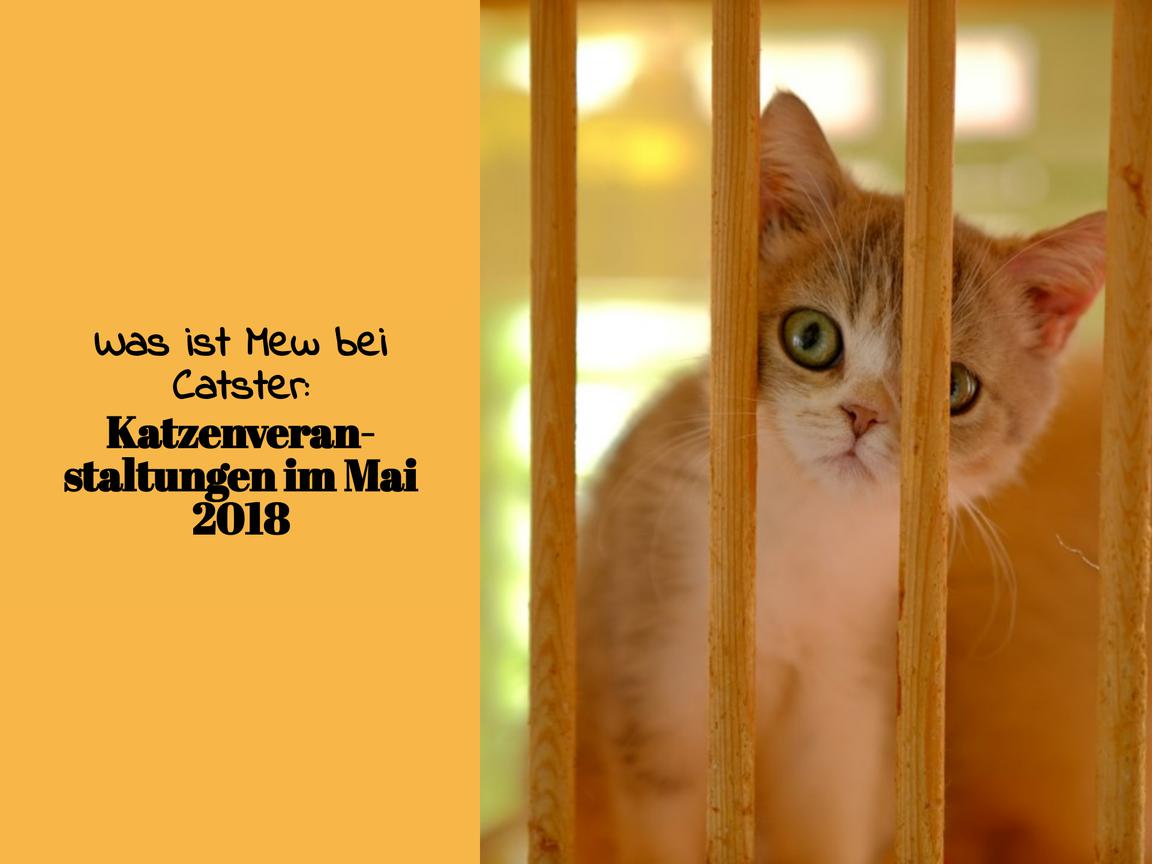 Was ist Mew bei Catster: Katzenveranstaltungen im Mai 2018