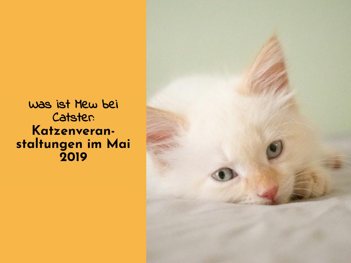 Was ist Mew bei Catster: Katzenveranstaltungen im Mai 2019