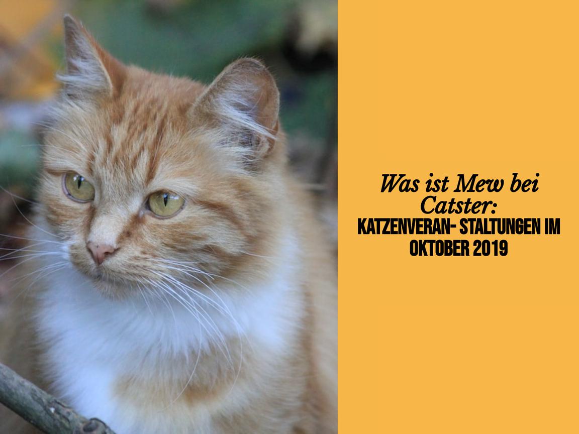 Was ist Mew bei Catster: Katzenveranstaltungen im Oktober 2019