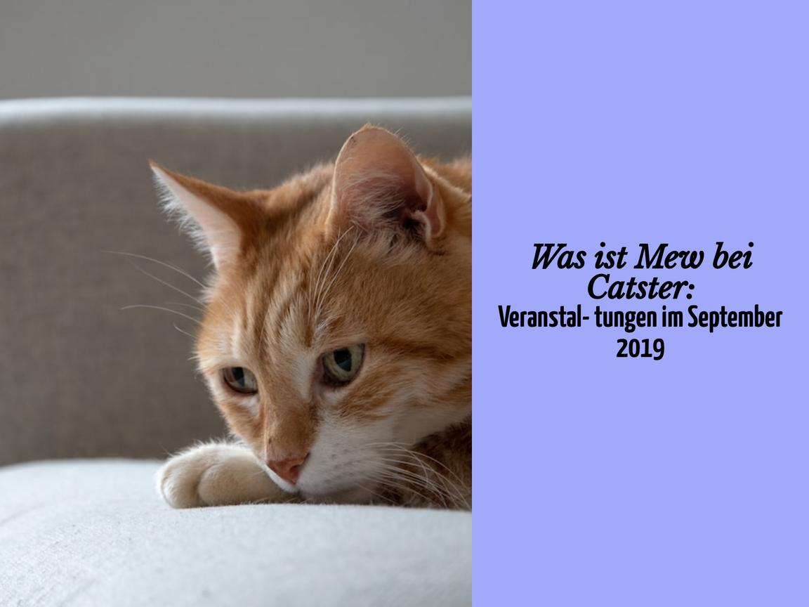 Was ist Mew bei Catster: Veranstaltungen im September 2019