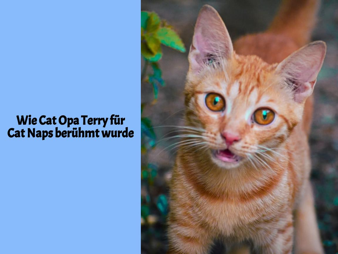 Wie Cat Opa Terry für Cat Naps berühmt wurde